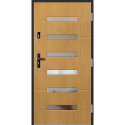 Venkovní vchodové dveře P55 Venkovní vchodové dveře P55