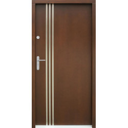 Venkovní vchodové dveře P58 Venkovní vchodové dveře P58