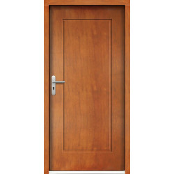 Venkovní vchodové dveře P96 Venkovní vchodové dveře P96