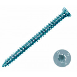 Turbošroub 7,5 x 182 mm, TORX, vč. bílé krytky (1 ks) Turbošroub 7,5 x 182 mm, TORX, vč. bílé krytky (1 ks)